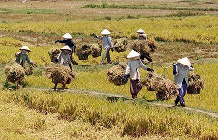 Nội dung: Mùa hè đang đầy vui vẻ với những xu hướng mới, và Huda Ice Twist đang chinh