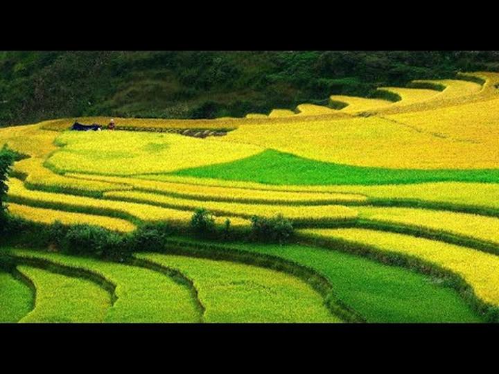 Trải nghiệm đa dạng công nghệ - Cảm hứng video marketing từ Hotspot Matrix