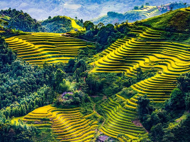 Hotspot Matrix và Niềng răng đẹp tự tin tại Nha Khoa Kim