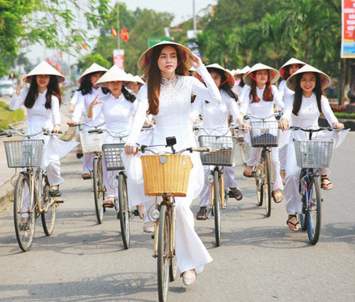 Bonobo: Nguồn Gốc Tiến Hóa Của Ngôn Ngữ Con Người?