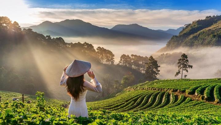 Mỹ Tâm: Họa mi tóc nâu và mối quan hệ với học trò